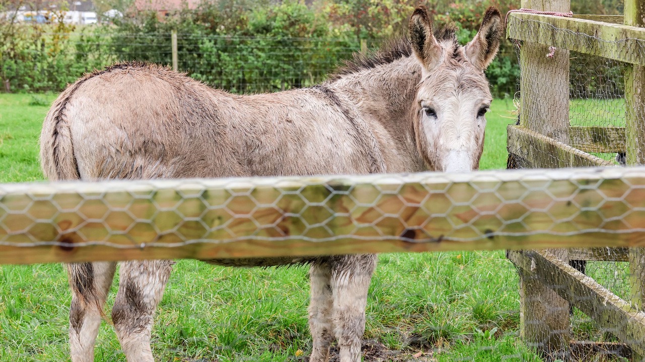 Photo of Others in Askham