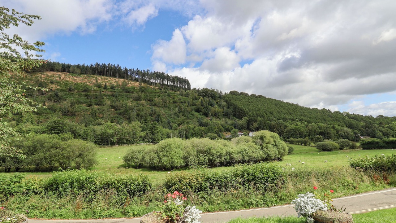 Photo of Others in Llanferres