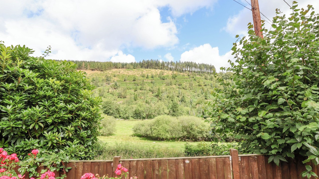 Photo of Others in Llanferres