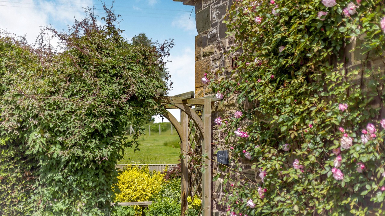 Photo of Others in Strefford