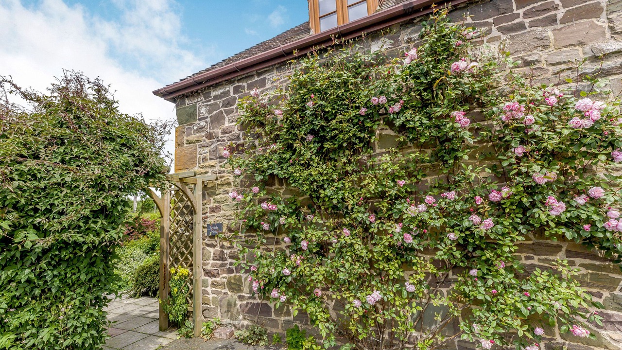 Photo of Others in Strefford