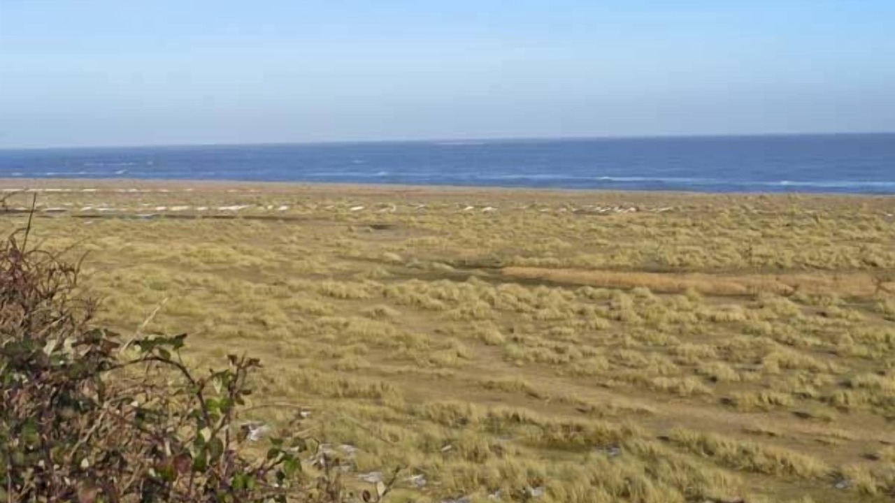 Photo of Others in Kessingland