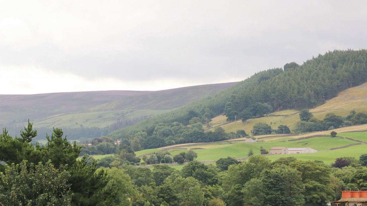 Photo of Others in Reeth