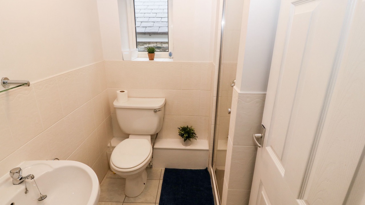 Photo of Others in Borth-y-Gest