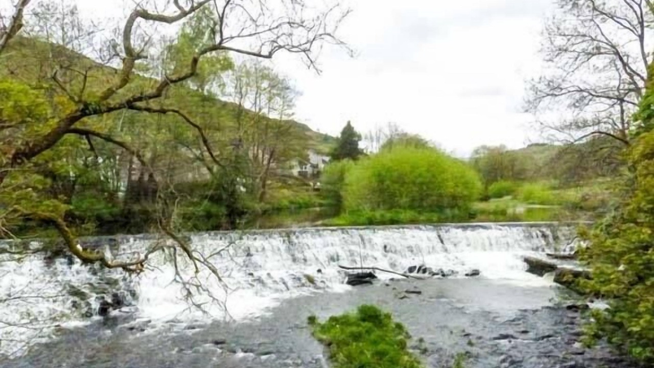 Photo of Others in Staveley