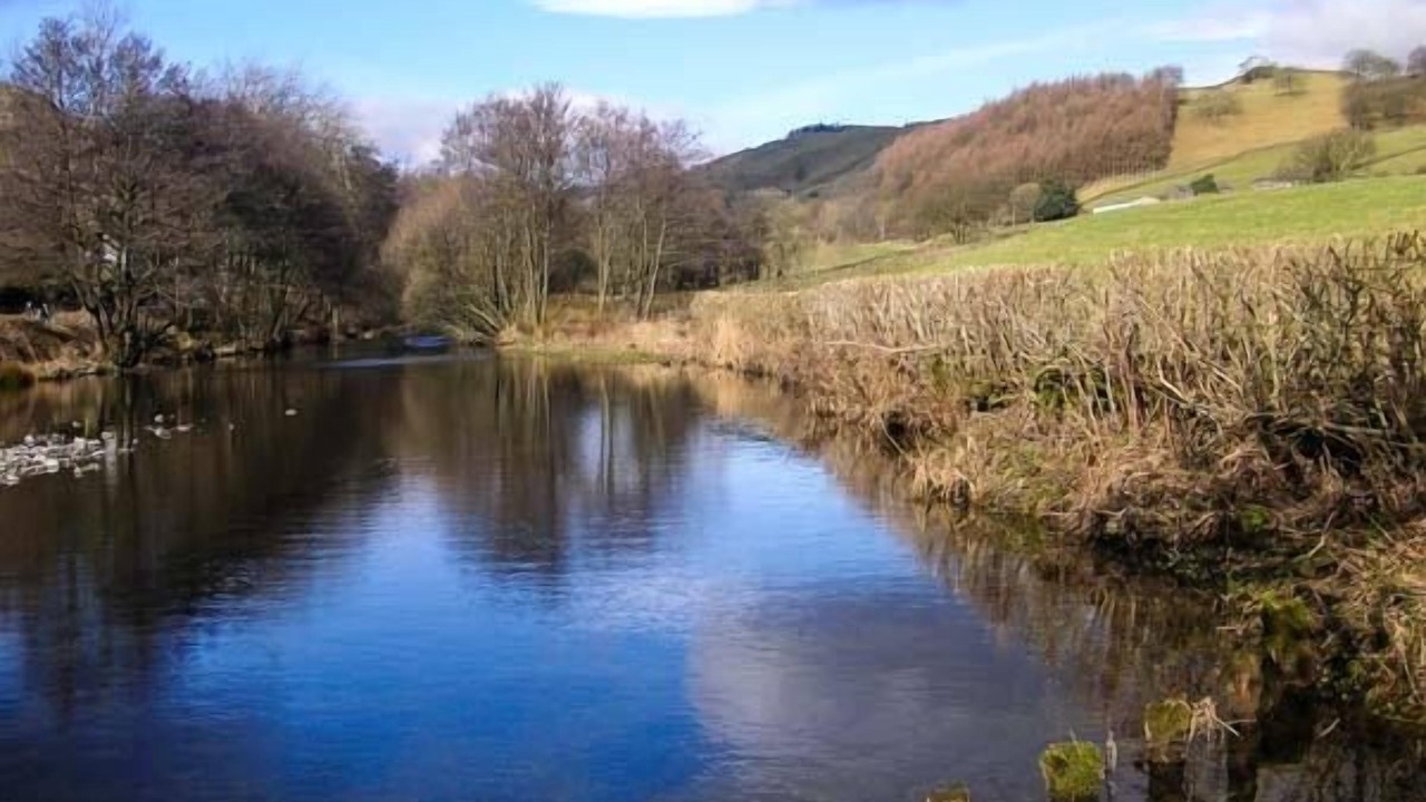 Photo of Others in Staveley