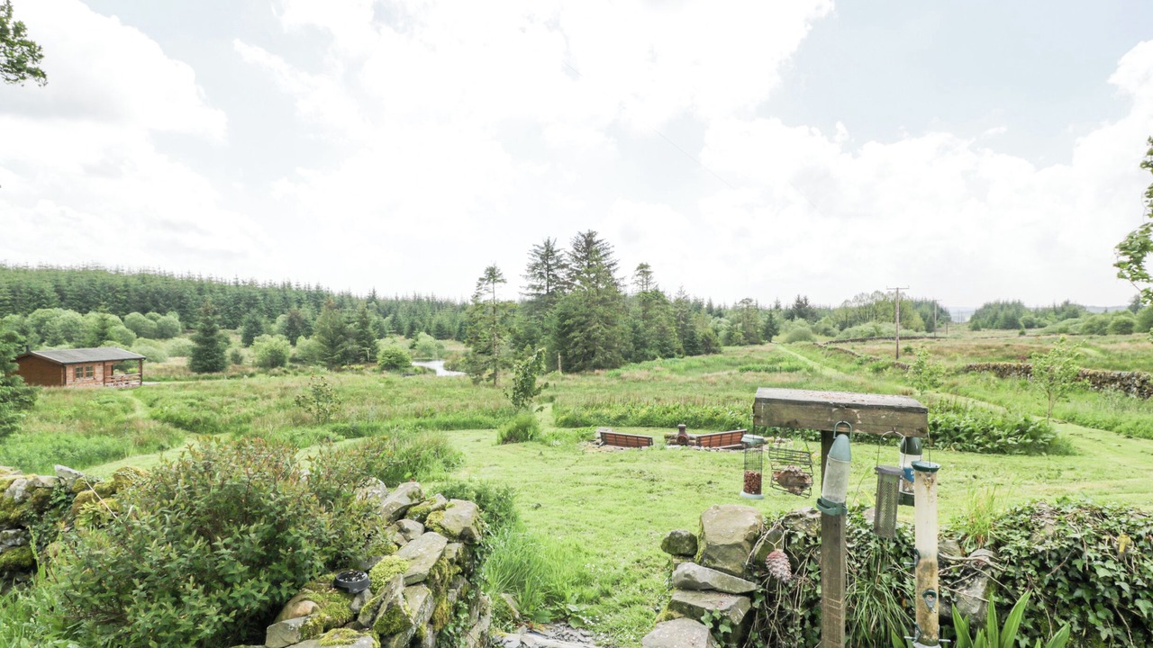 Photo of Others in Galloway Forest Park