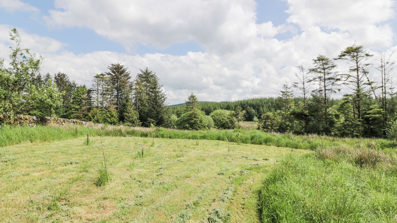 Photo of Others in Galloway Forest Park