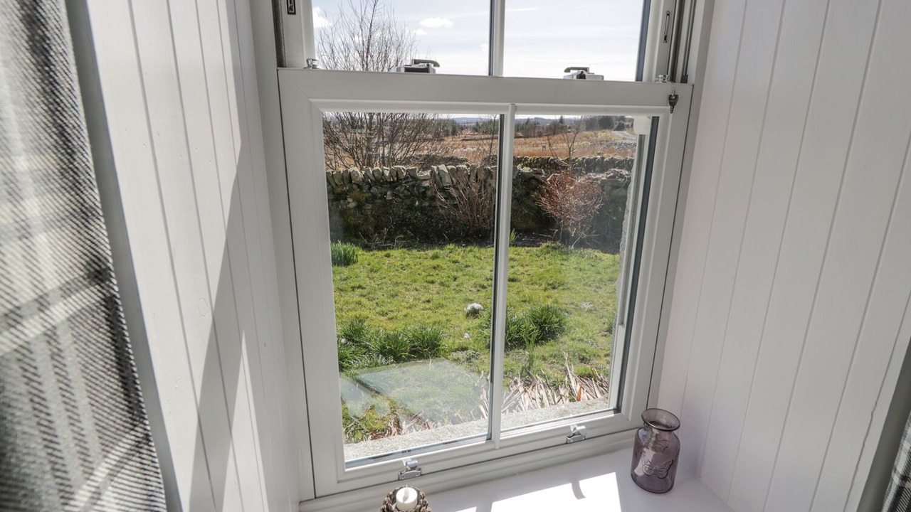 Photo of Others in Galloway Forest Park