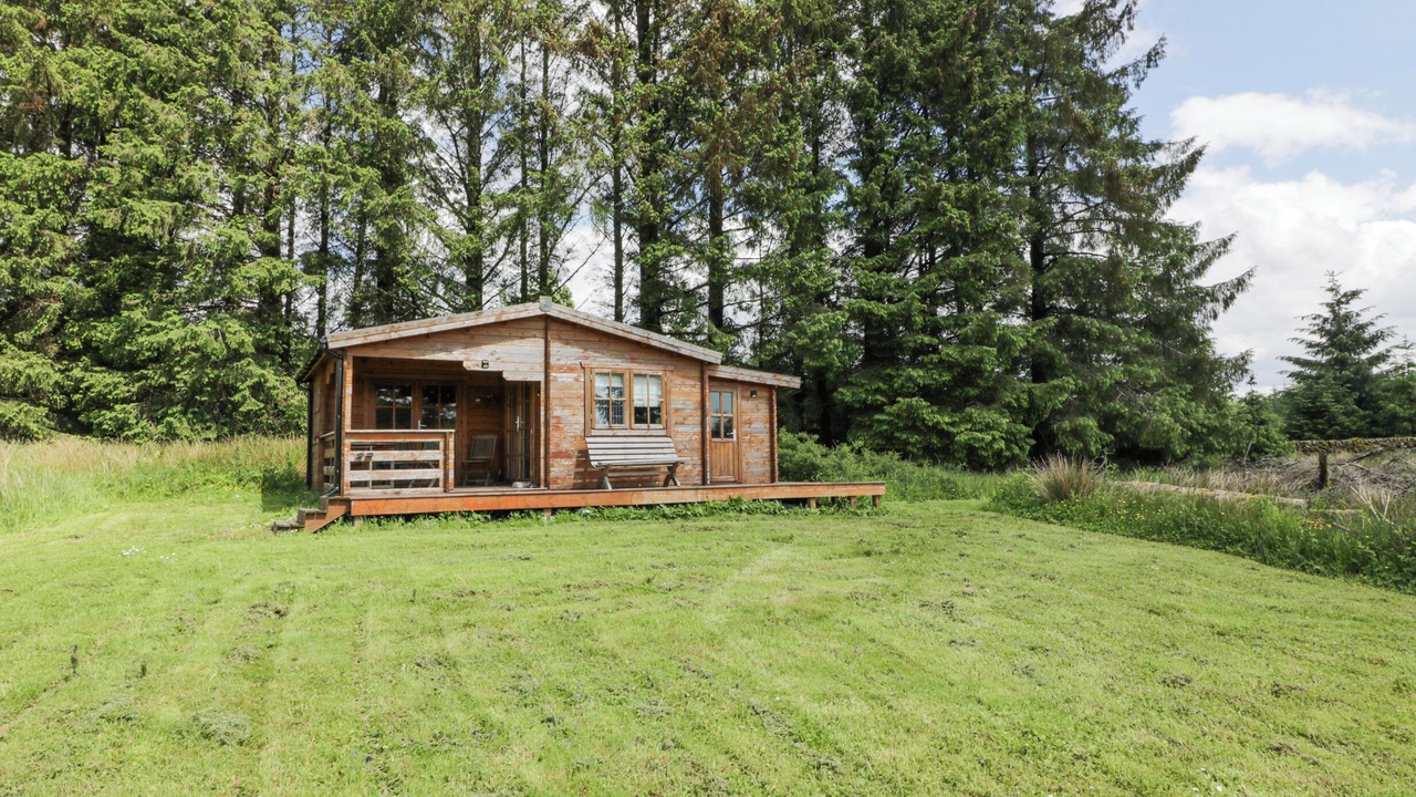 Photo of Outdoor in Galloway Forest Park