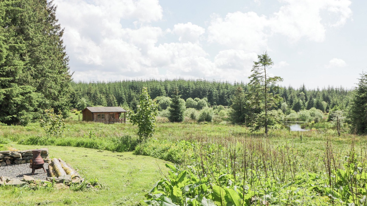 Photo of Others in Galloway Forest Park