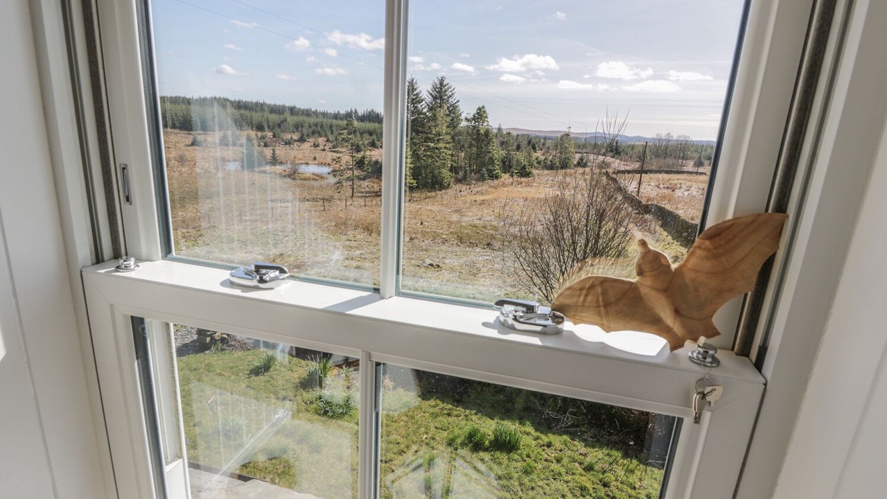 Photo of Others in Galloway Forest Park