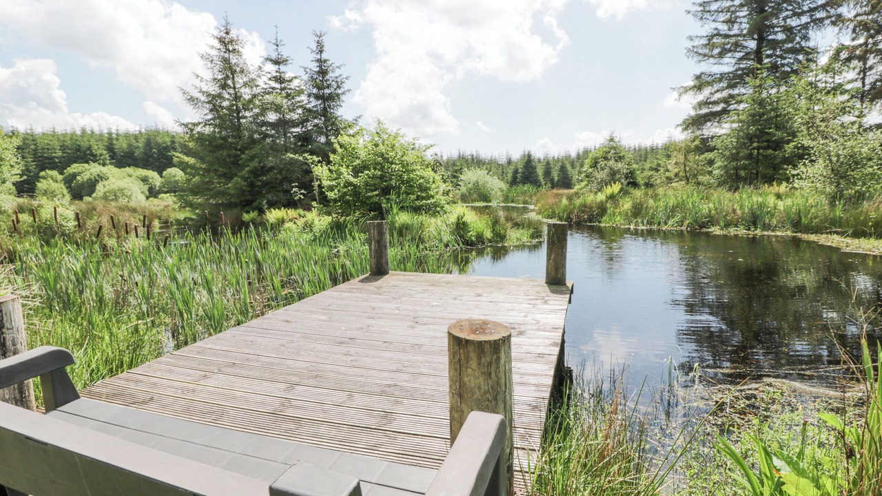 Photo of Others in Galloway Forest Park