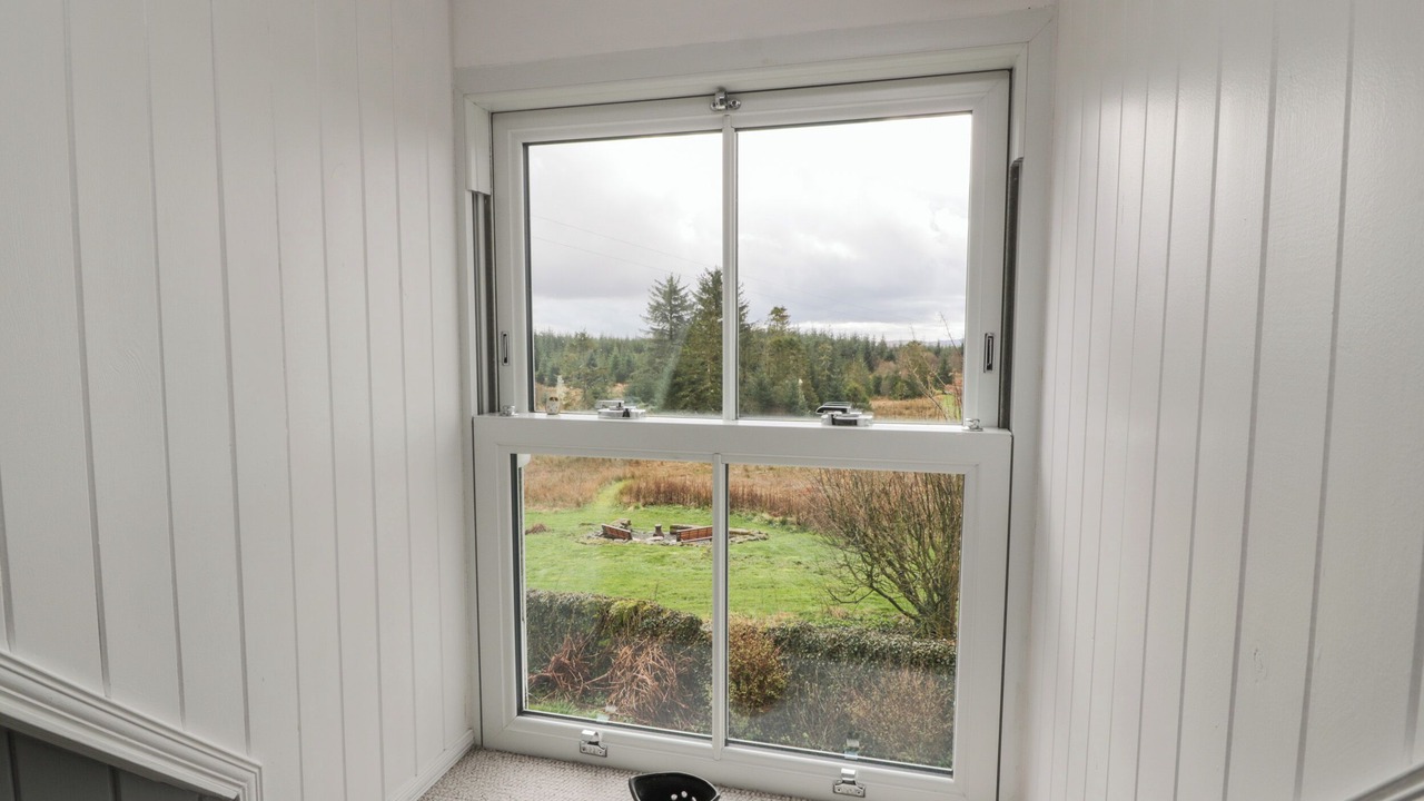 Photo of Others in Galloway Forest Park