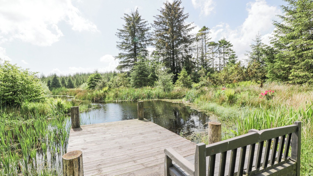 Photo of Others in Galloway Forest Park