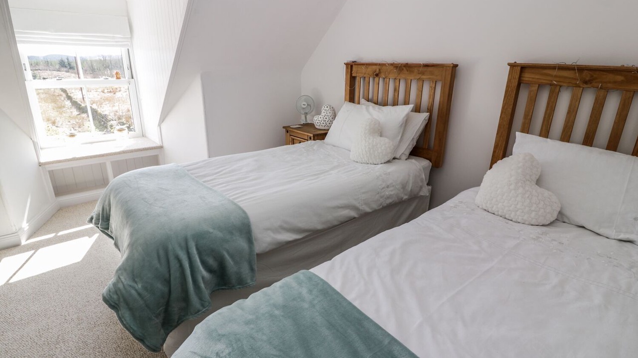 Photo of Others in Galloway Forest Park