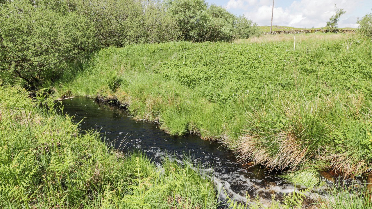 Photo of Others in Galloway Forest Park