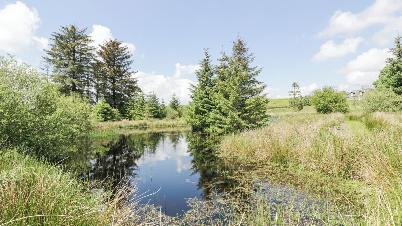 Photo of Others in Galloway Forest Park