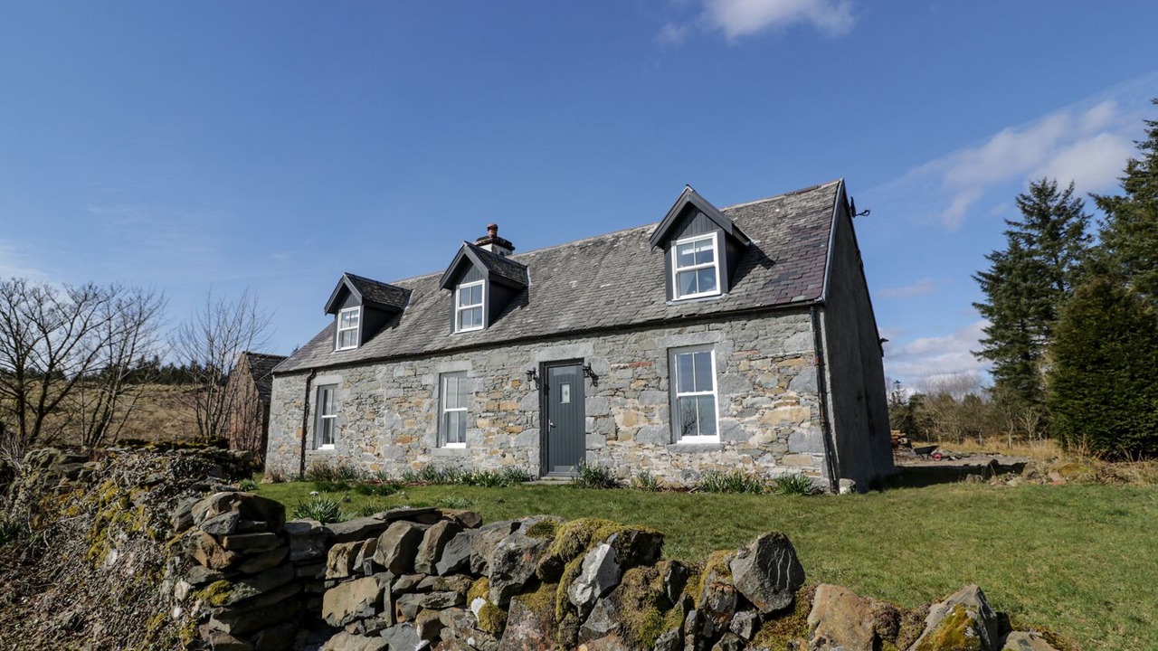 Photo of Outdoor in Galloway Forest Park