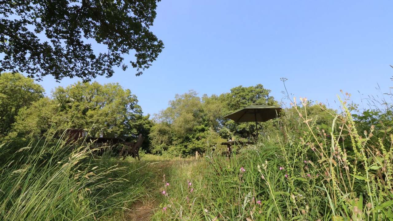 Photo of Others in Loddiswell