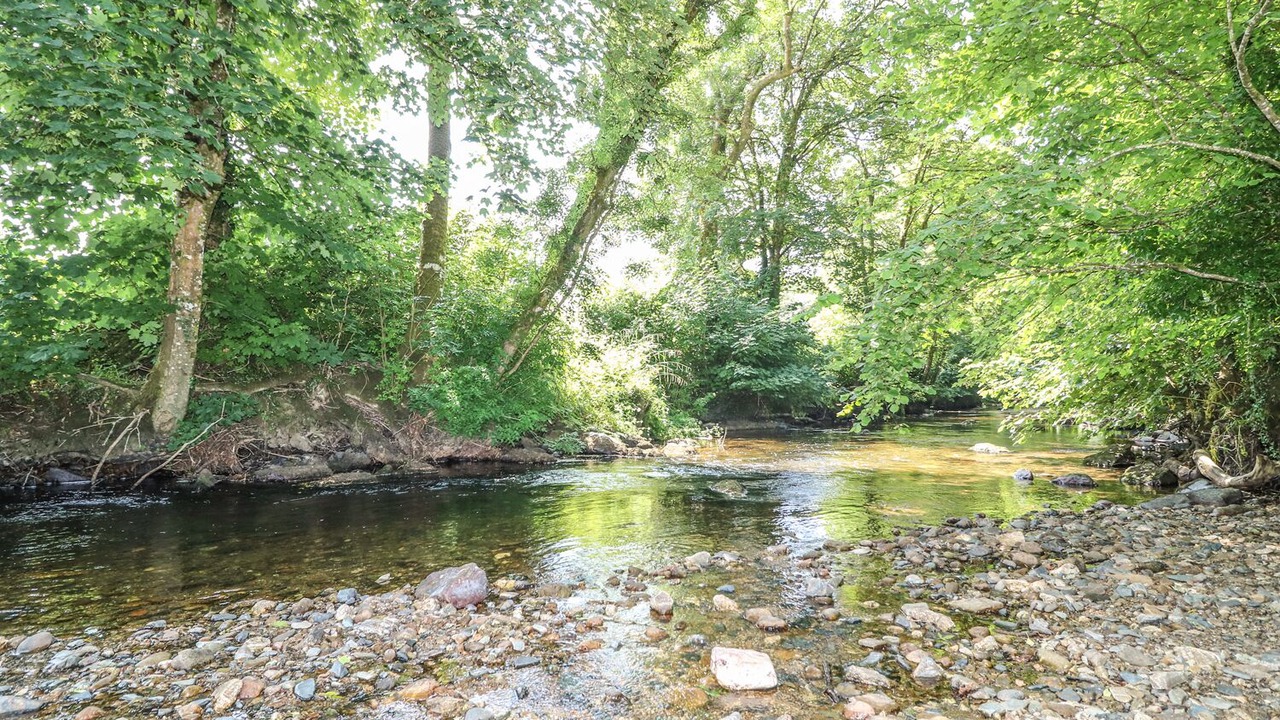 Photo of Others in Loddiswell