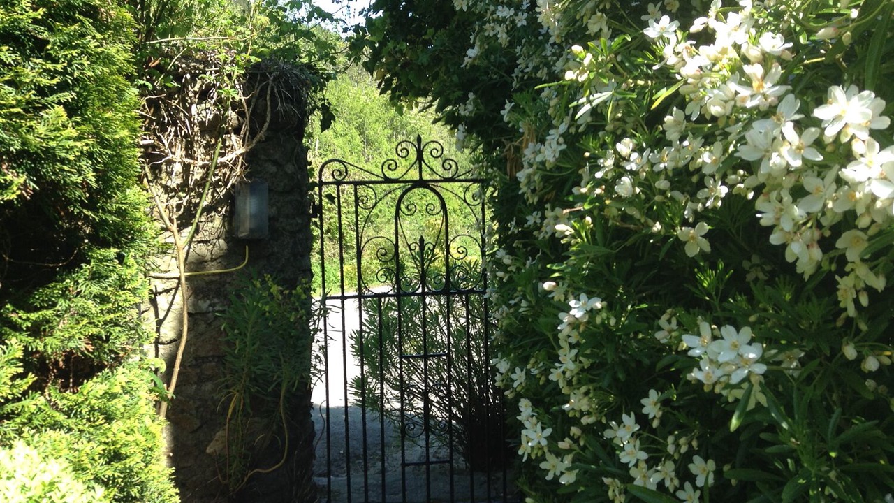 Photo of Others in Loddiswell