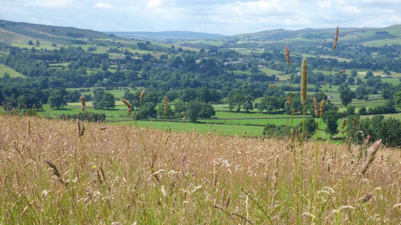Photo of Others in Barnard Castle
