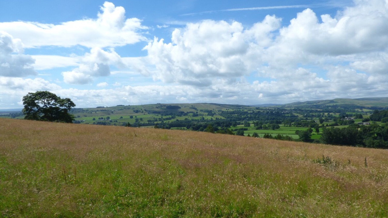 Photo of Others in Barnard Castle
