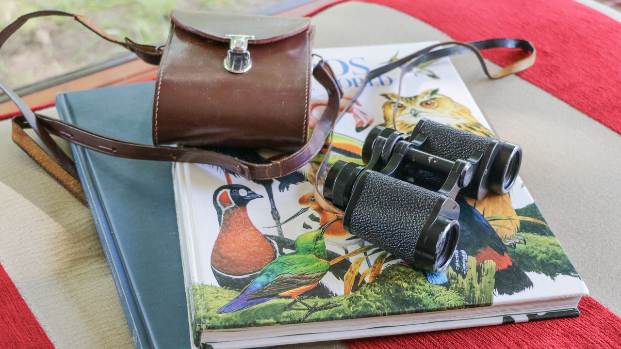 Photo of Others in Great Fryup Dale