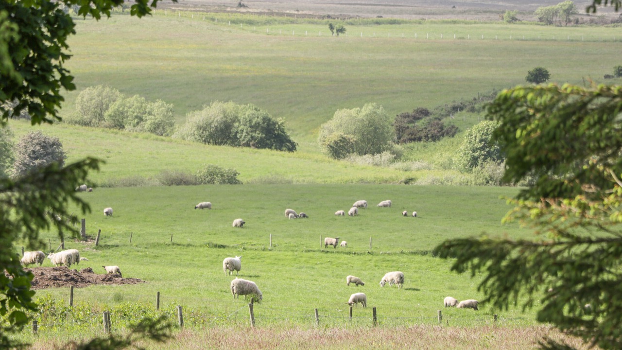 Photo of Others in Great Fryup Dale