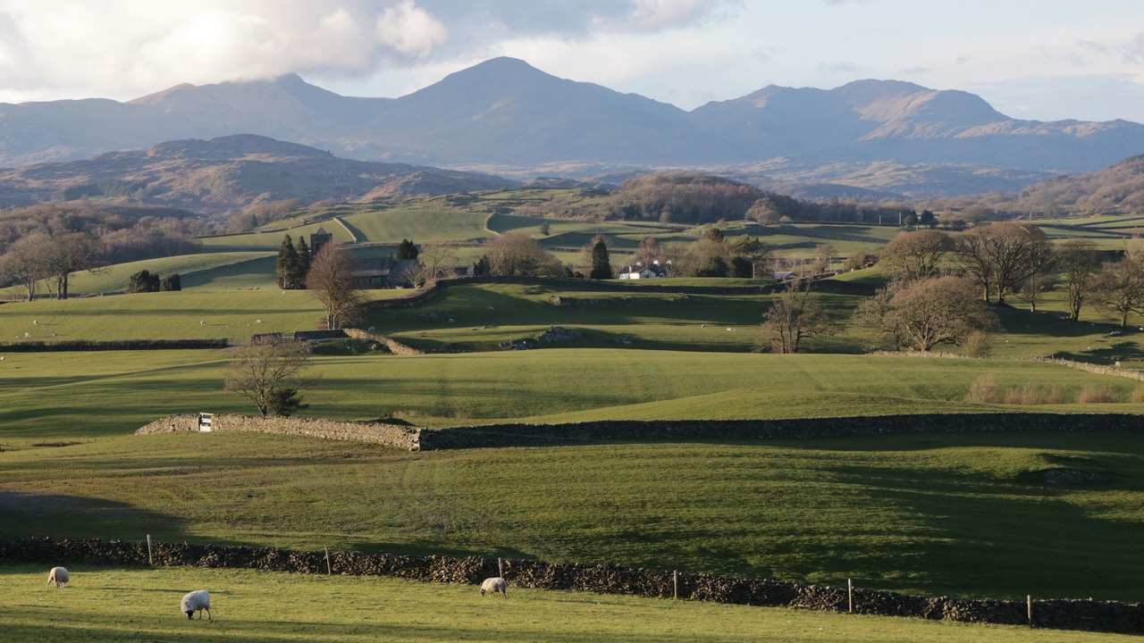 Photo of Others in Torver