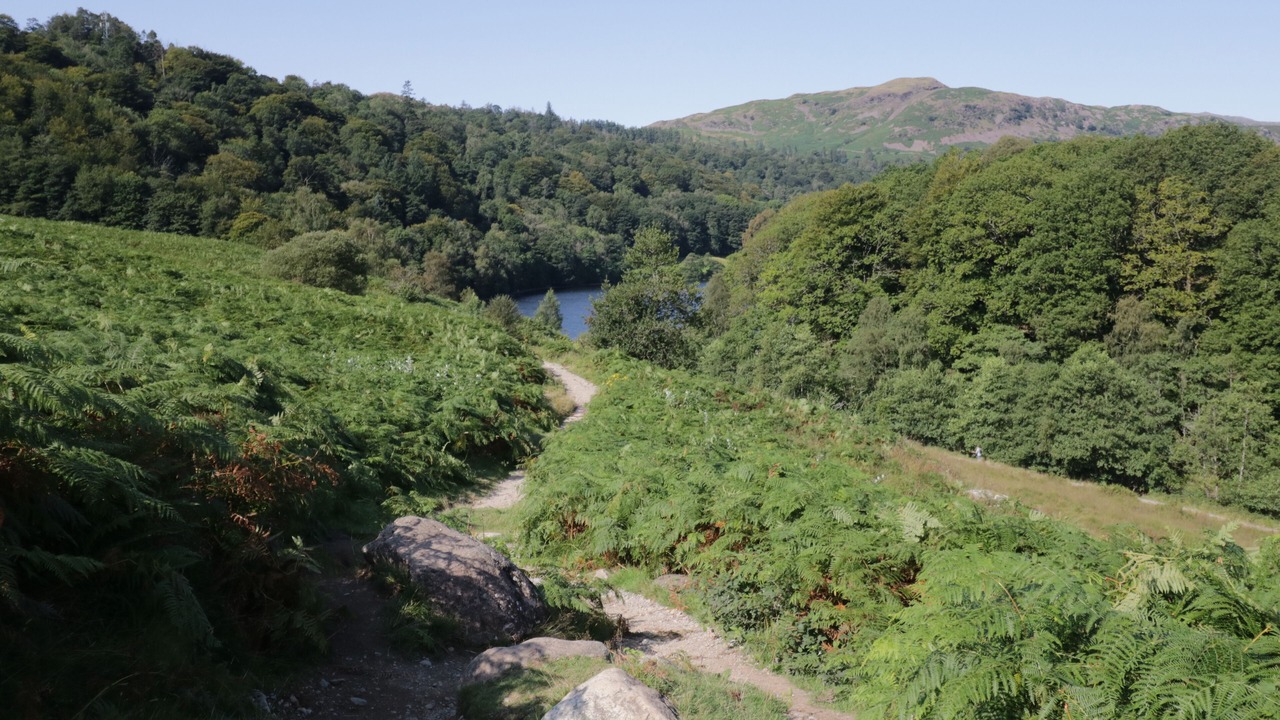 Photo of Others in Torver