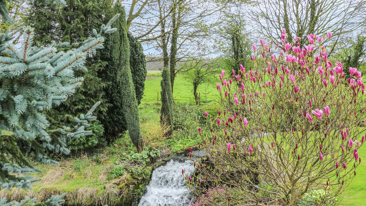 Photo of Others in Cuckney