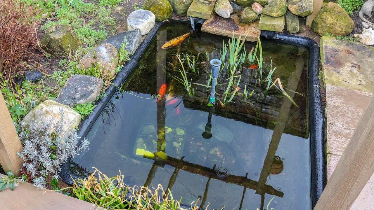 Photo of Others in Kirk Sandall