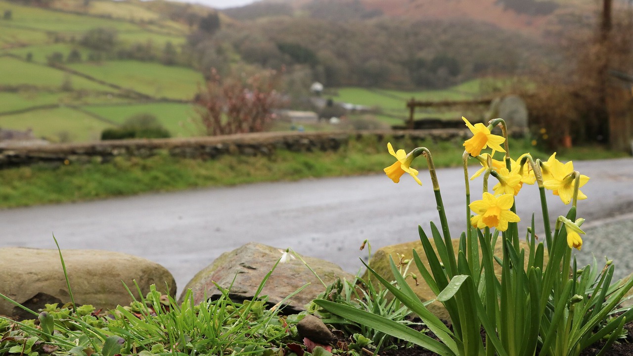 Photo of Others in Broughton Mills