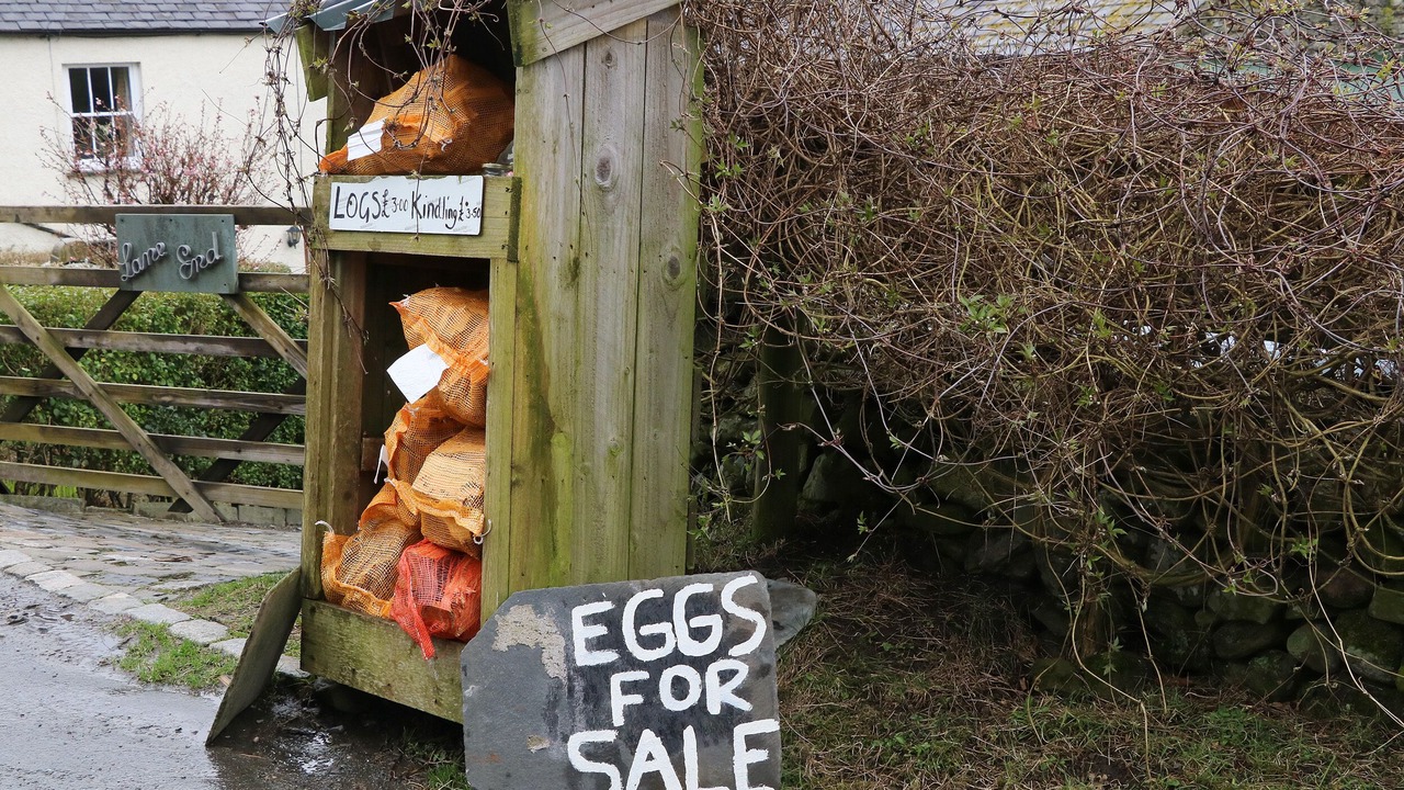 Photo of Others in Broughton Mills