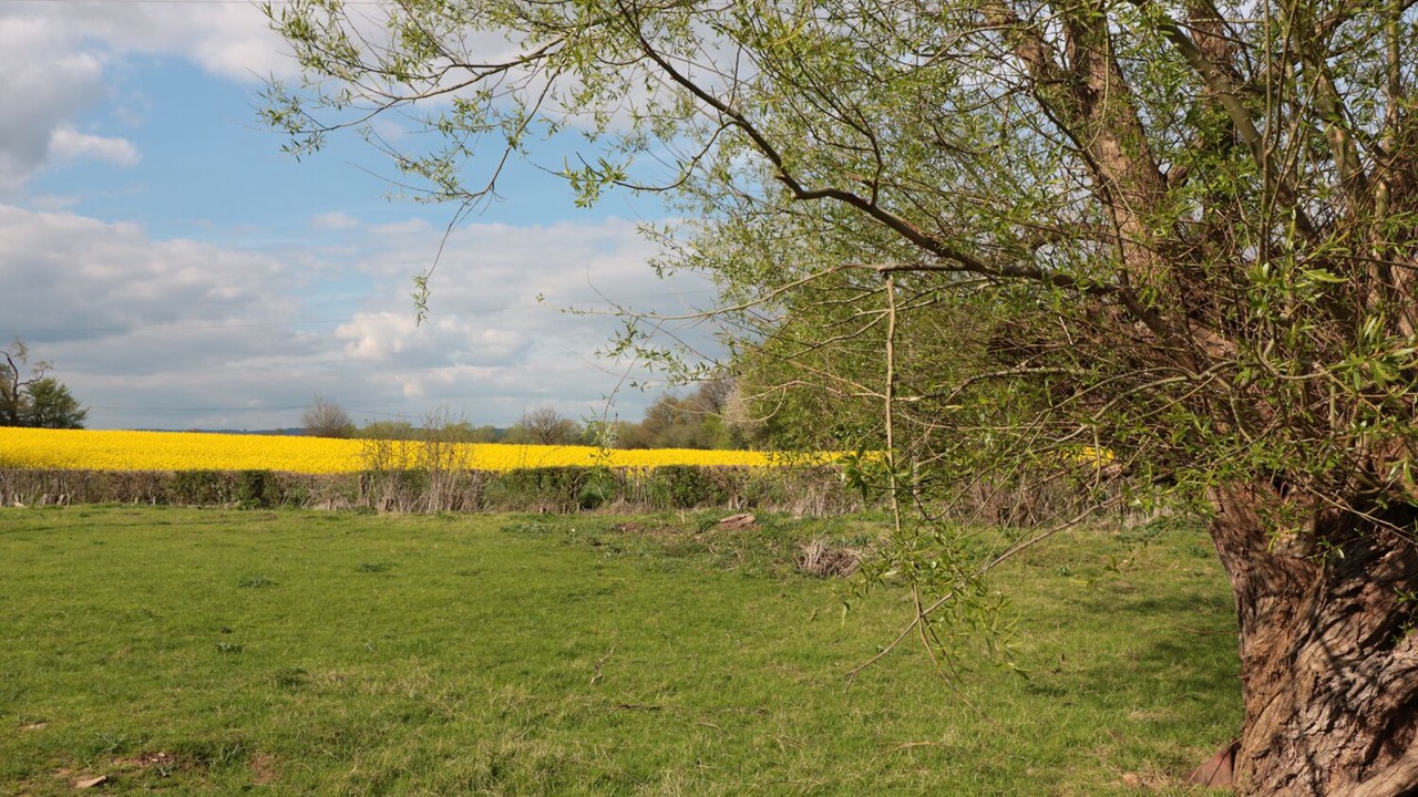 Photo of Others in Madley