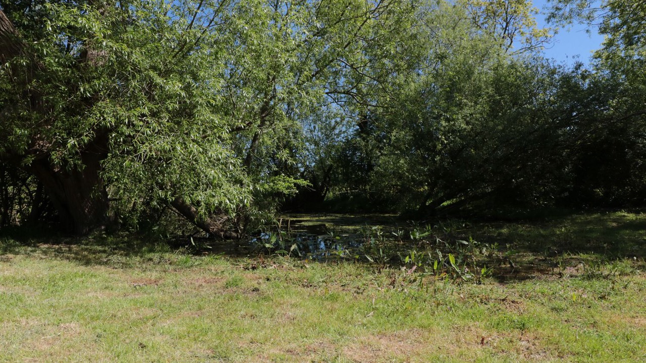 Photo of Others in Madley