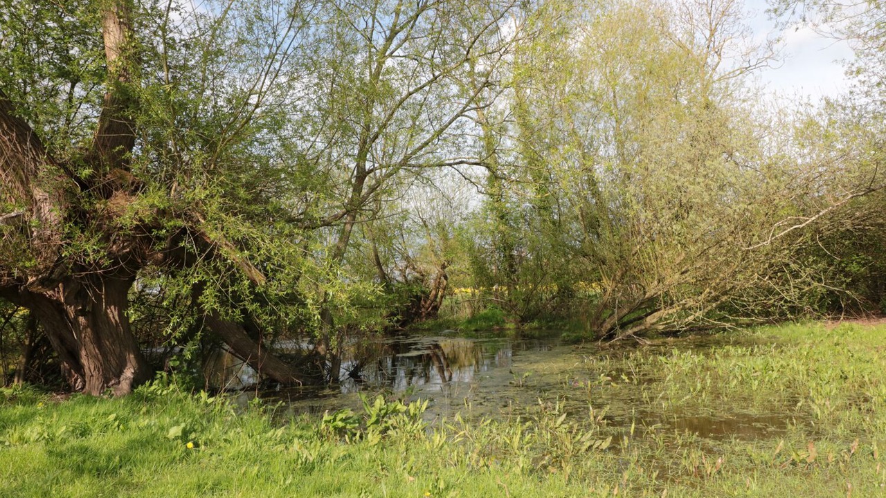 Photo of Others in Madley