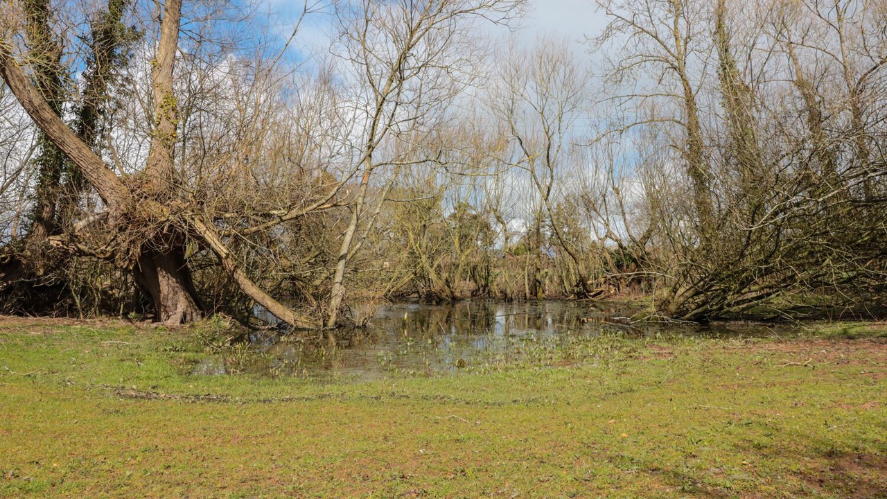 Photo of Others in Madley