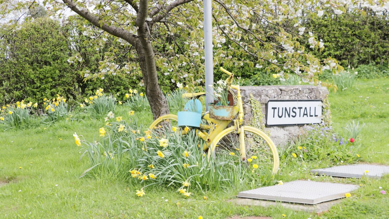 Photo of Others in Tunstall