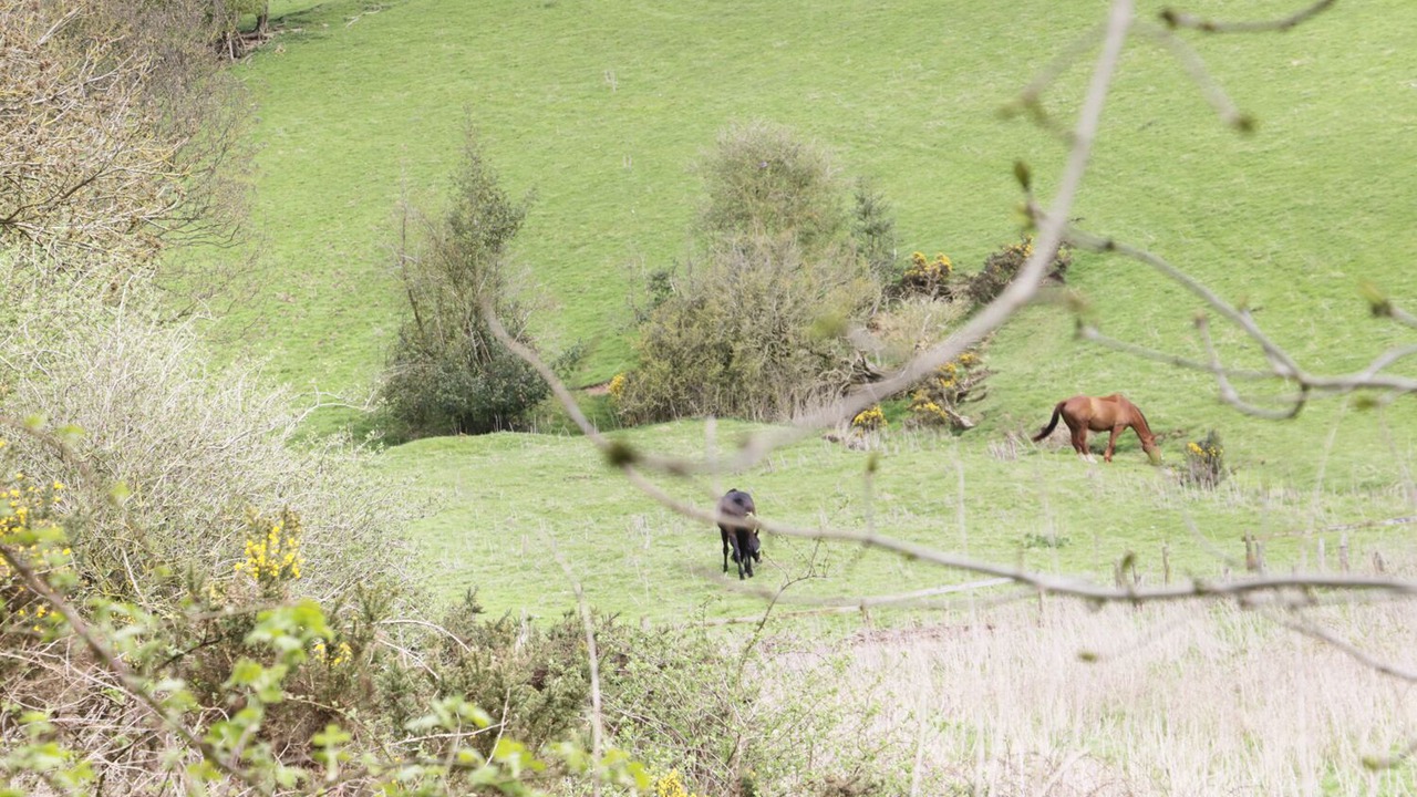 Photo of Others in Tunstall