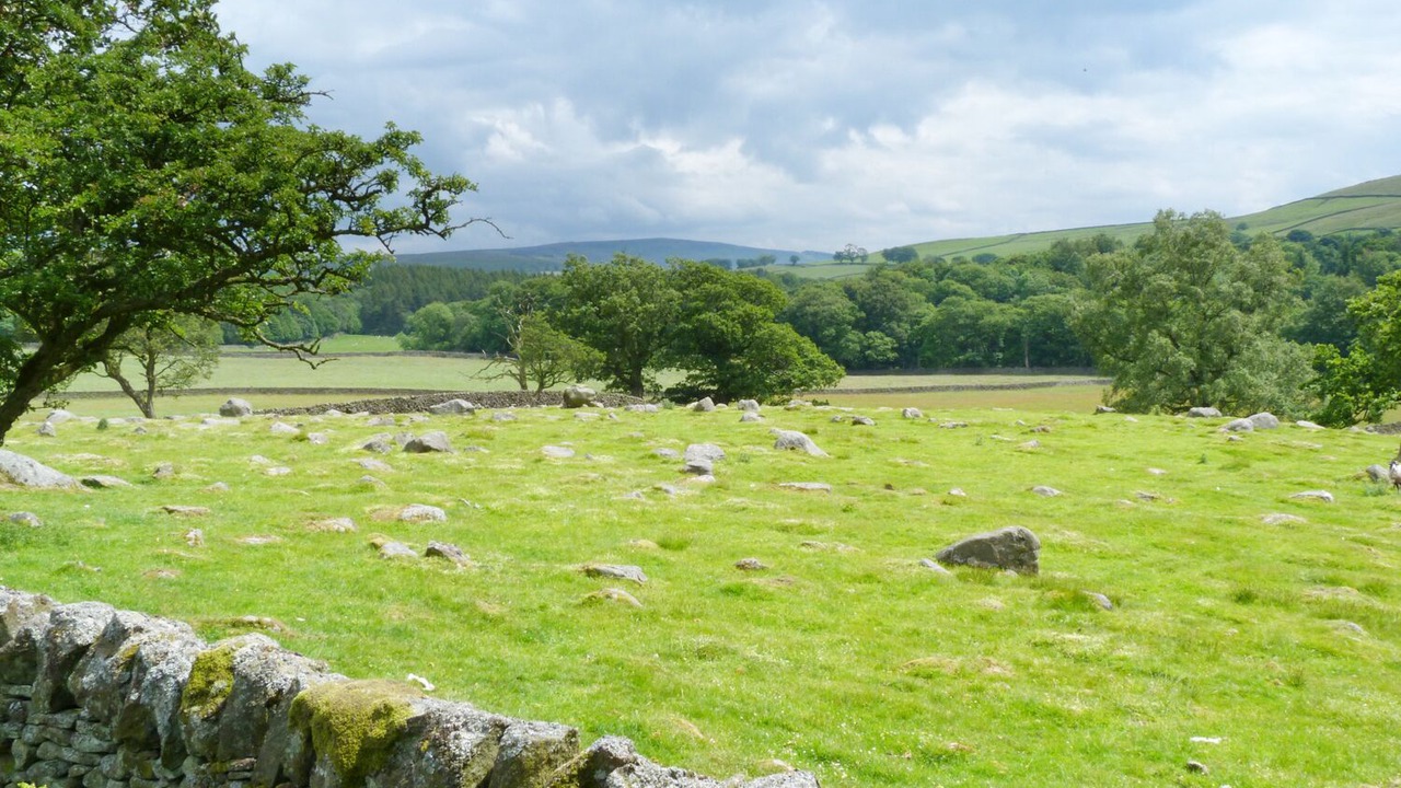 Photo of Others in Tunstall