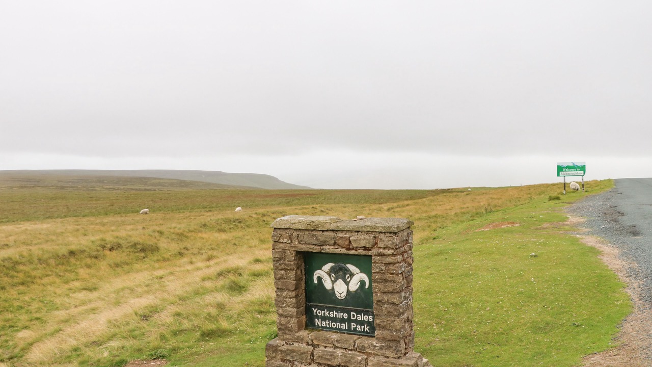 Photo of Others in Fremington