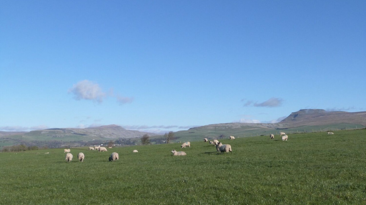 Photo of Others in Fourstones Near Bentham