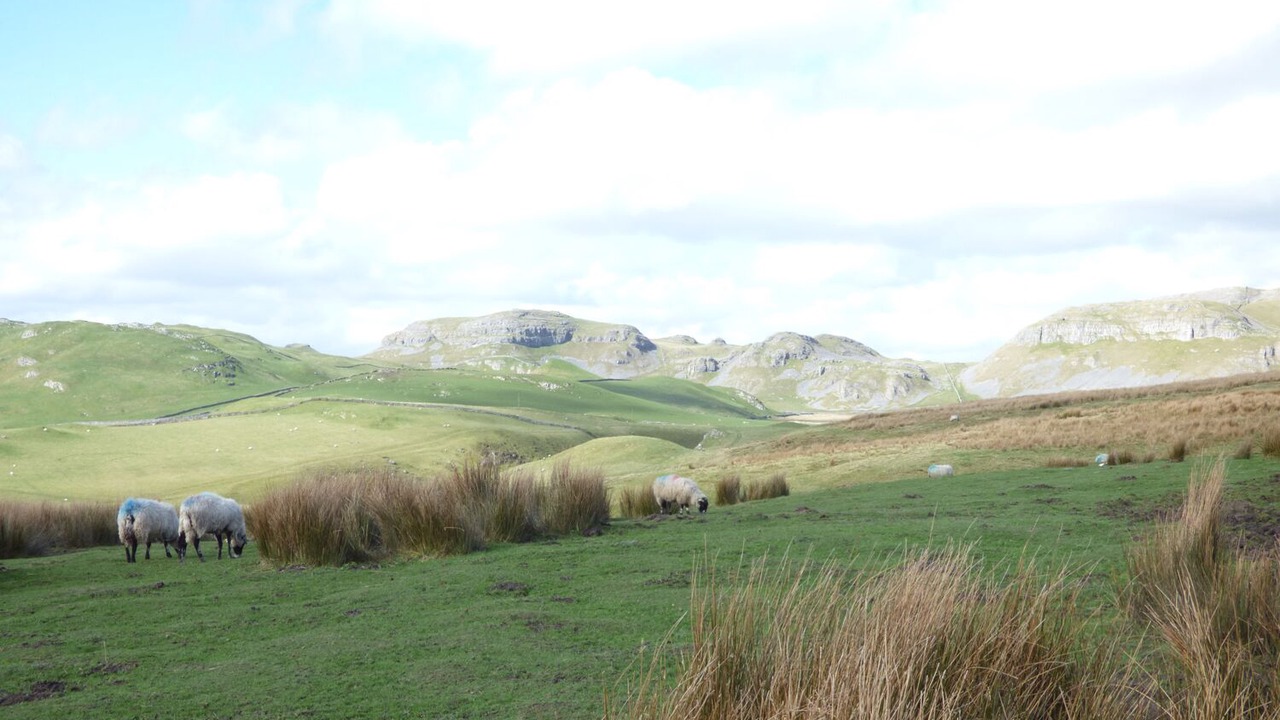 Photo of Others in Fourstones Near Bentham
