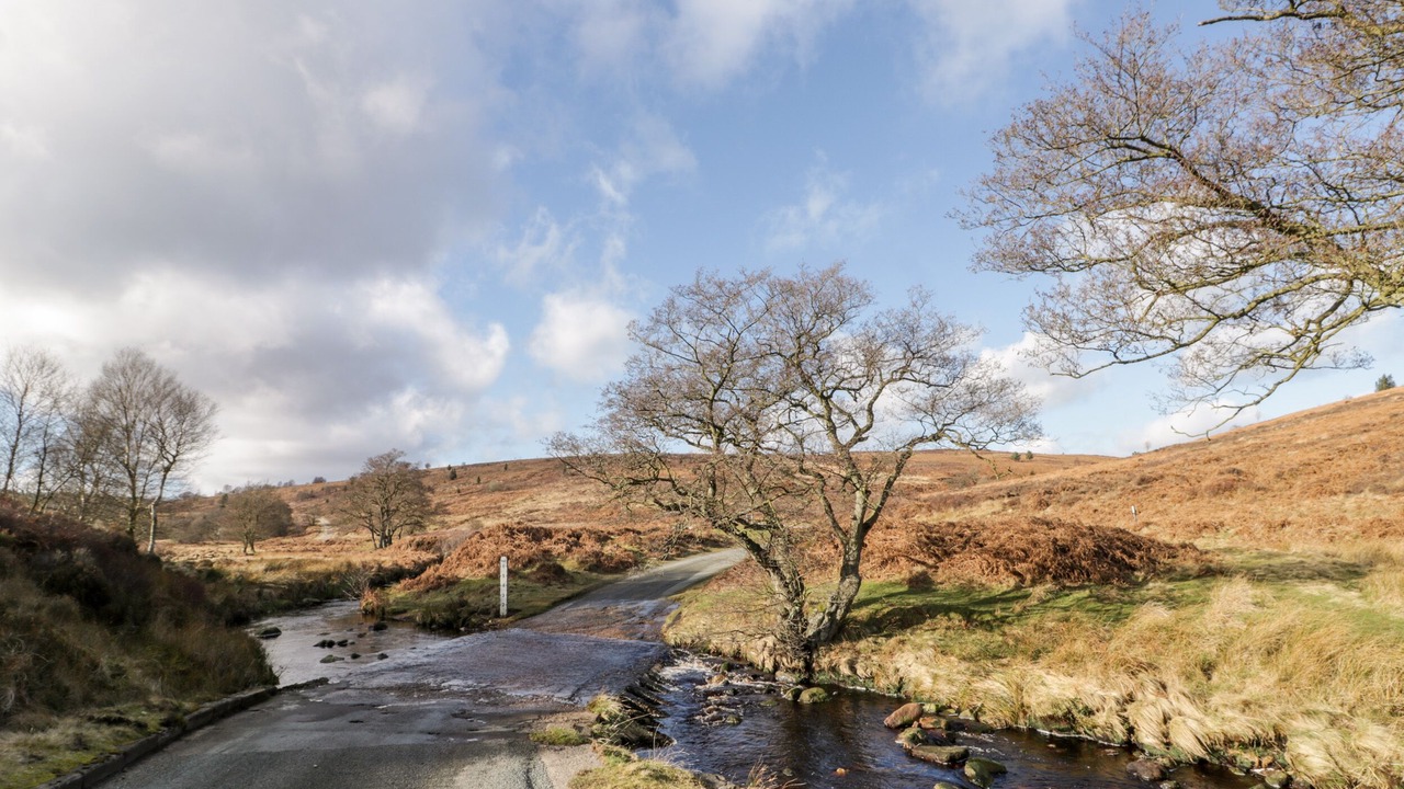 Photo of Others in Briggswath