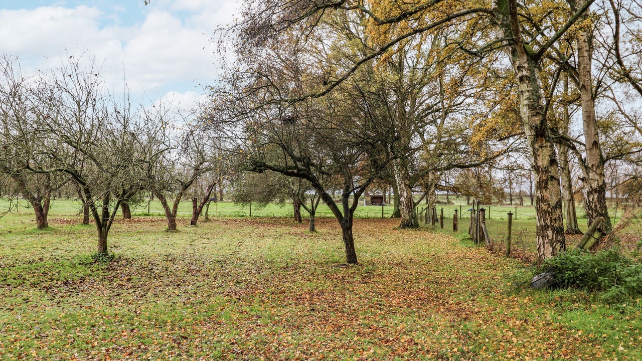 Photo of Others in Attleborough