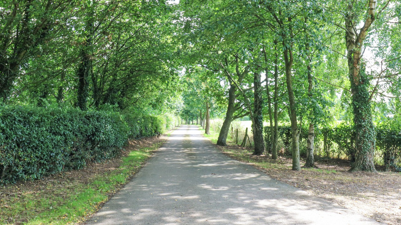 Photo of Others in Bedale