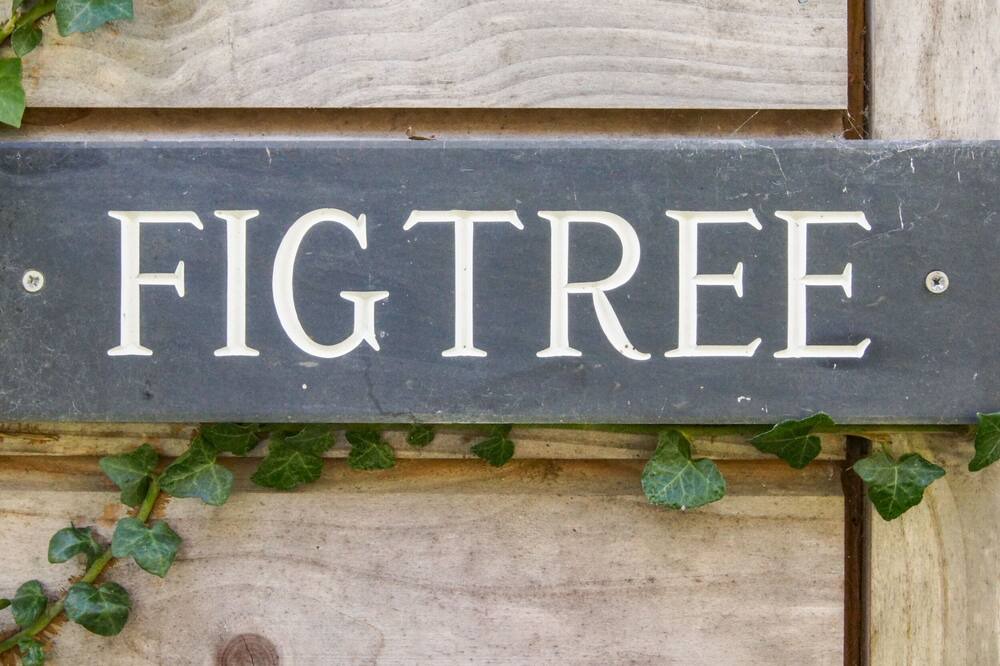 Photo of Outdoor in Edmonton